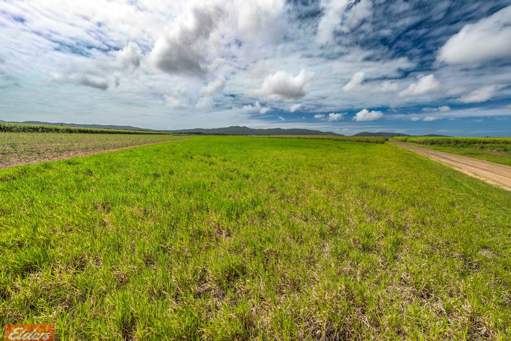318 Mourilyan Harbour Road, Mourilyan, QLD, 4858 - Image 15