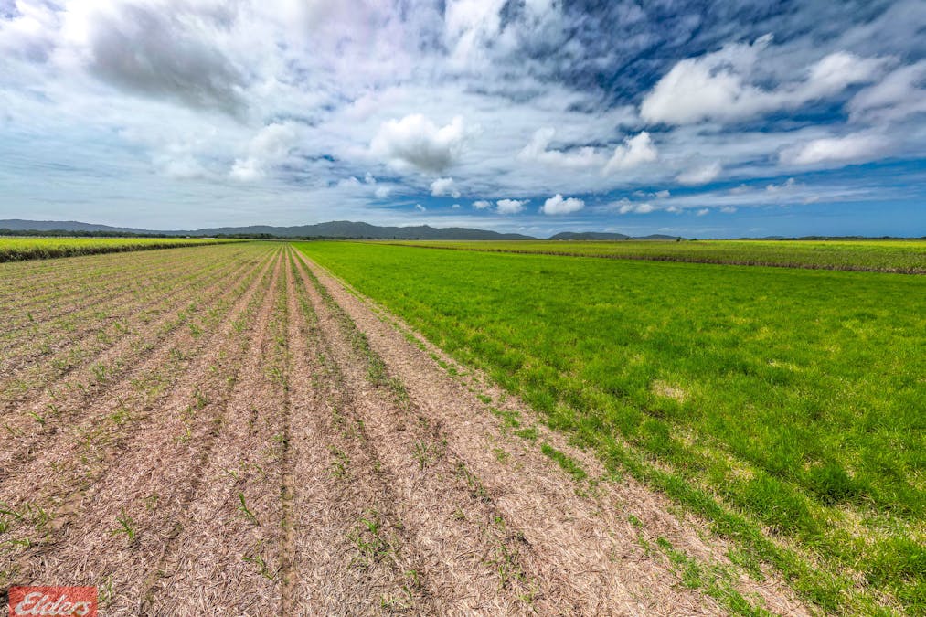 318 Mourilyan Harbour Road, Mourilyan, QLD, 4858 - Image 16