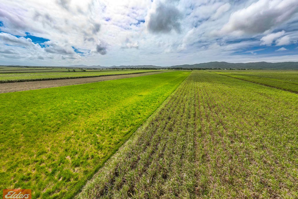 318 Mourilyan Harbour Road, Mourilyan, QLD, 4858 - Image 17
