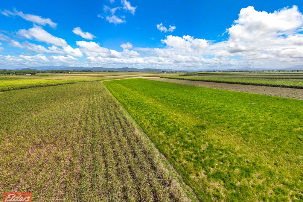 318 Mourilyan Harbour Road, Mourilyan, QLD, 4858 - Image 19