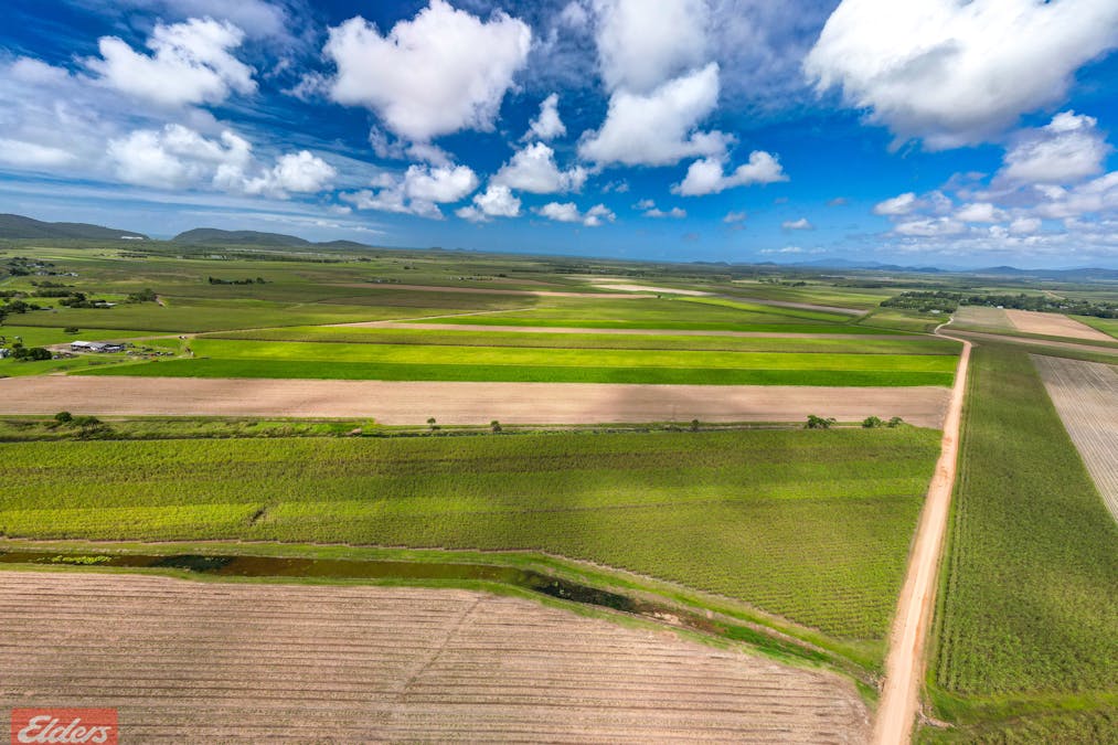 318 Mourilyan Harbour Road, Mourilyan, QLD, 4858 - Image 20
