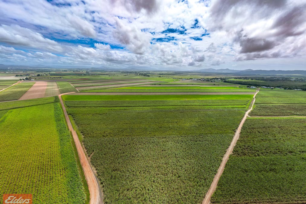 318 Mourilyan Harbour Road, Mourilyan, QLD, 4858 - Image 23