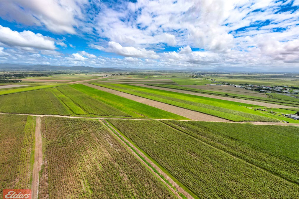 318 Mourilyan Harbour Road, Mourilyan, QLD, 4858 - Image 24