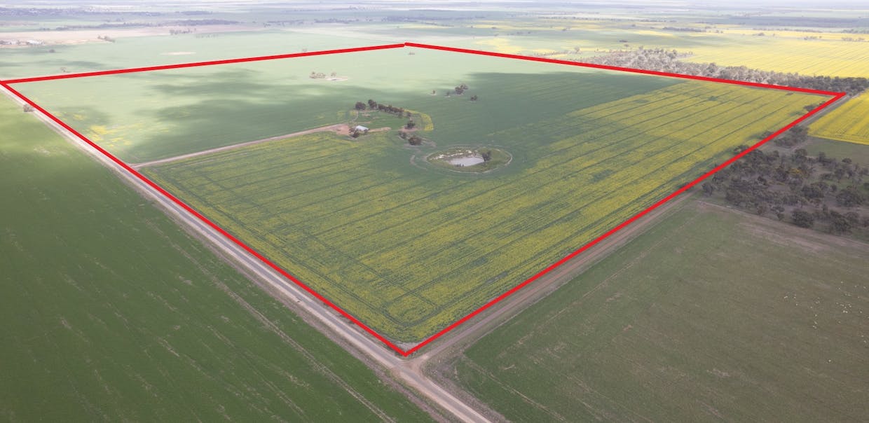 Mount Pleasant Road, Minyip, VIC, 3392 - Image 3