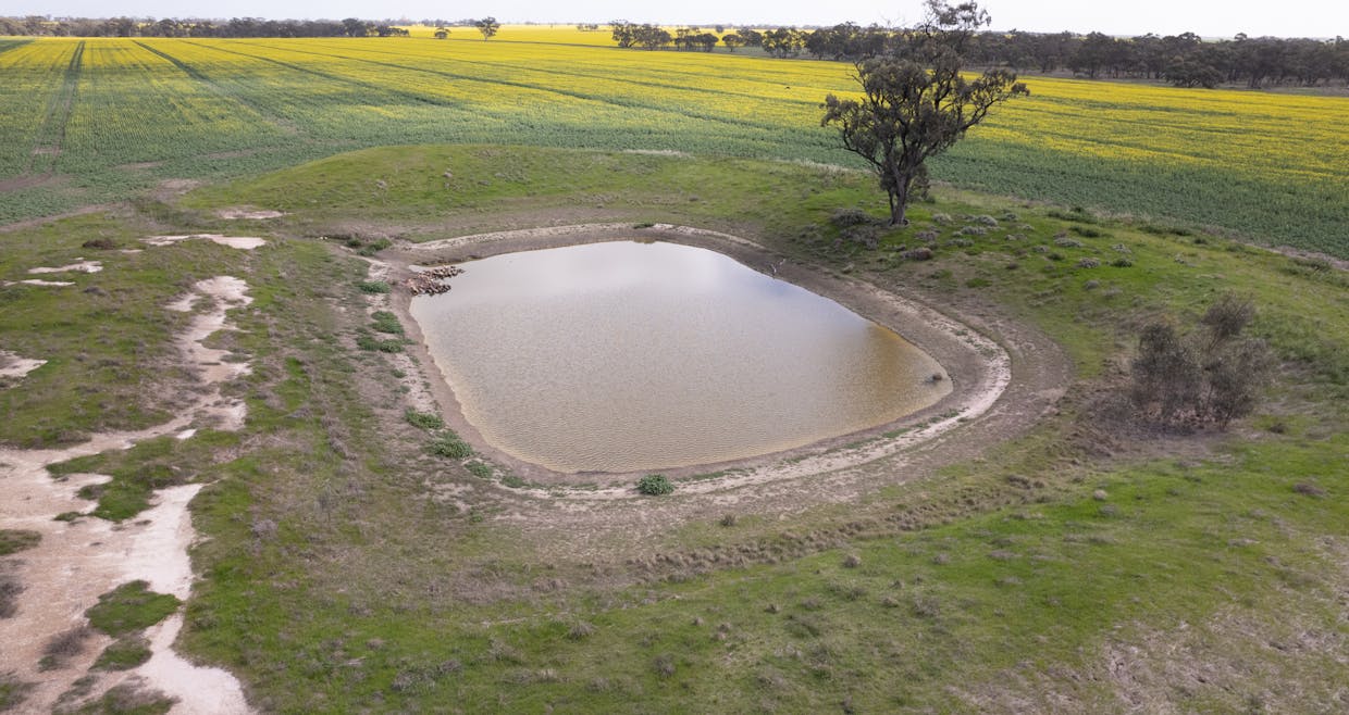 Mount Pleasant Road, Minyip, VIC, 3392 - Image 6
