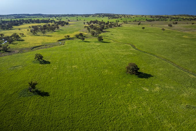 637 Mia Mia Road, Purlewaugh, NSW, 2357 - Image 1