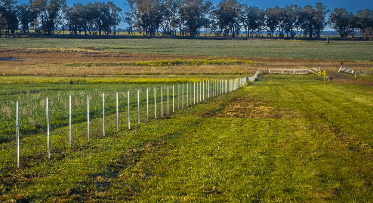 637 Mia Mia Road, Purlewaugh, NSW, 2357 - Image 15