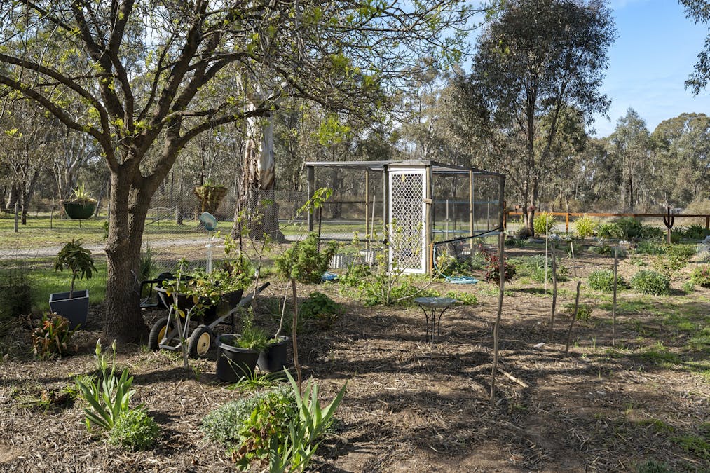 24-26 Maxfield Street, Longwood, VIC, 3665 - Image 15