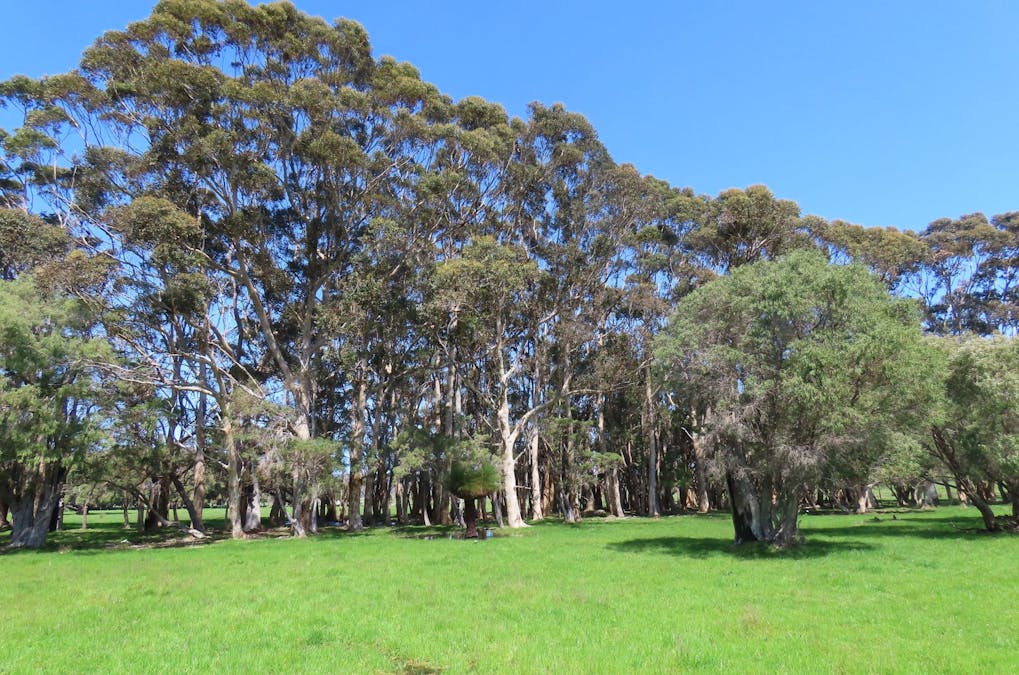 Deepdene, WA, 6290 - Image 4