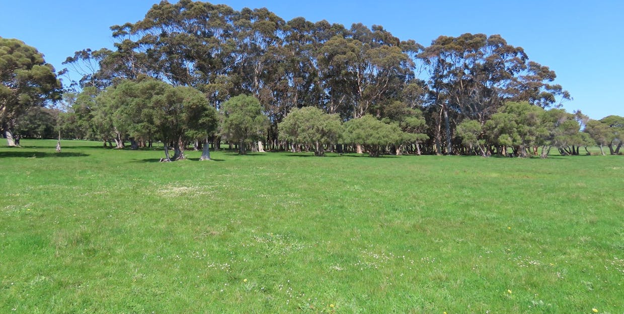 Deepdene, WA, 6290 - Image 5
