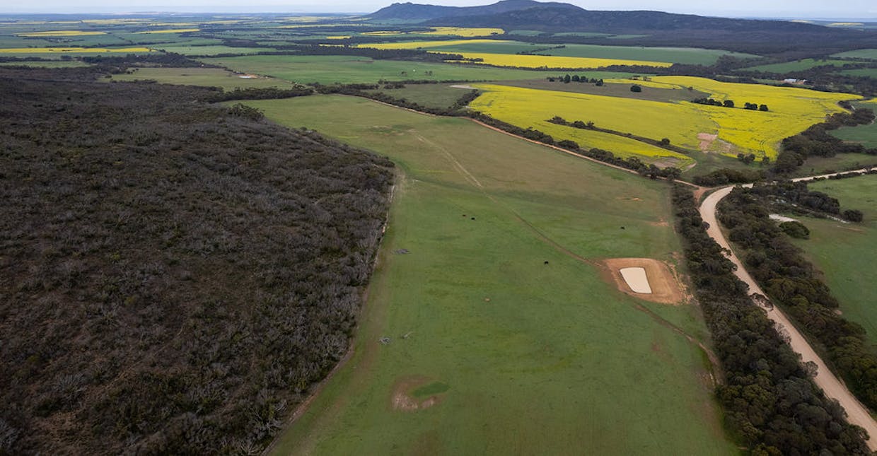Allot 2 Gap Road, Edillilie, SA, 5630 - Image 8