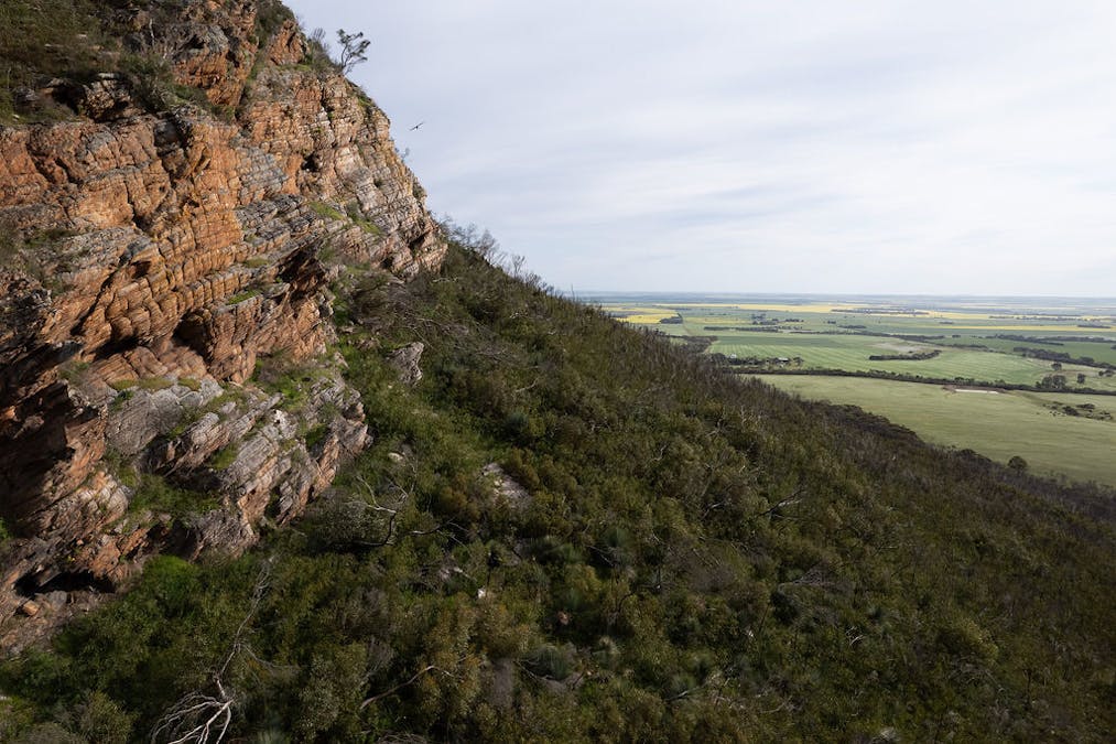 Allot 2 Gap Road, Edillilie, SA, 5630 - Image 16