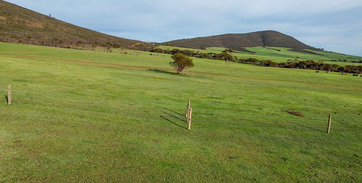 Allot 2 Gap Road, Edillilie, SA, 5630 - Image 6