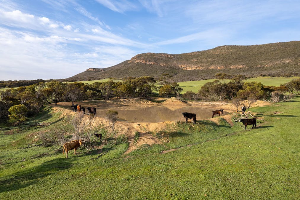 Allot 2 Gap Road, Edillilie, SA, 5630 - Image 2