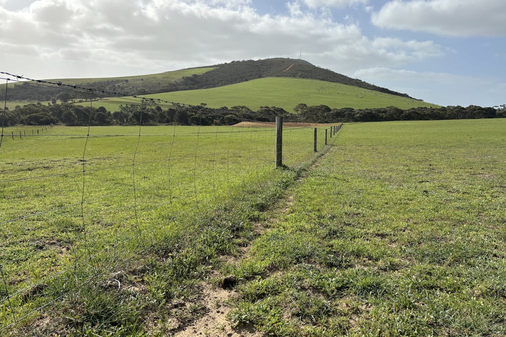 Allot 2 Gap Road, Edillilie, SA, 5630 - Image 9