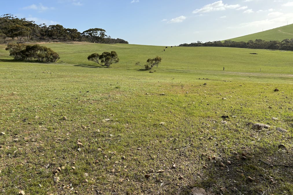 Allot 2 Gap Road, Edillilie, SA, 5630 - Image 22