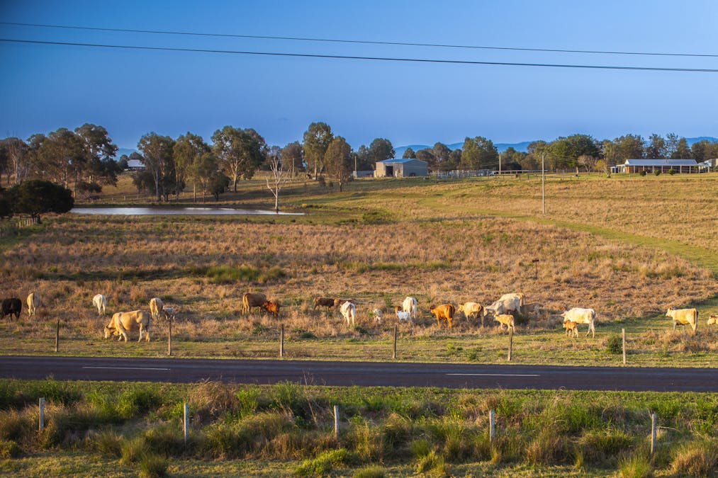 883 Glamorgan Vale Road, Glamorgan Vale, QLD, 4306 - Image 15