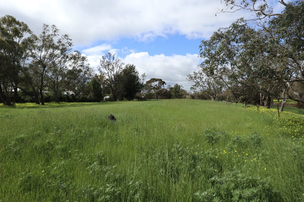15 Esperance Street, Northam, WA, 6401 - Image 5