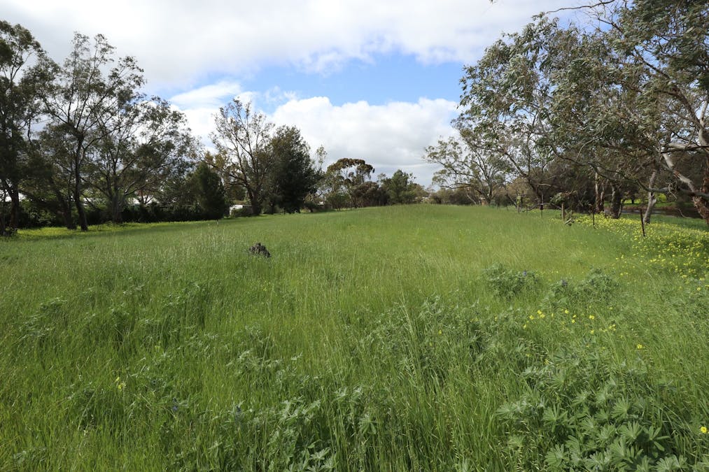 15 Esperance Street, Northam, WA, 6401 - Image 6