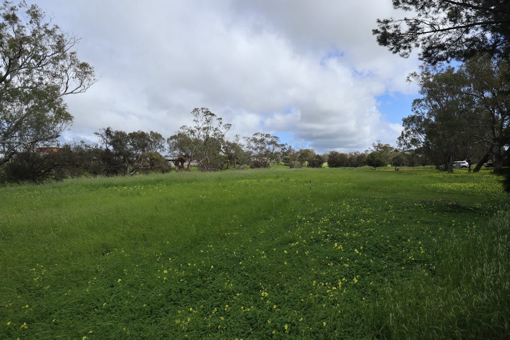 15 Esperance Street, Northam, WA, 6401 - Image 12