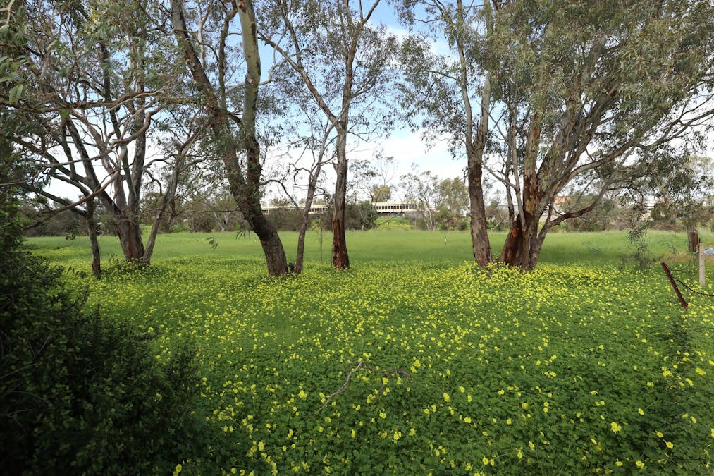 15 Esperance Street, Northam, WA, 6401 - Image 20