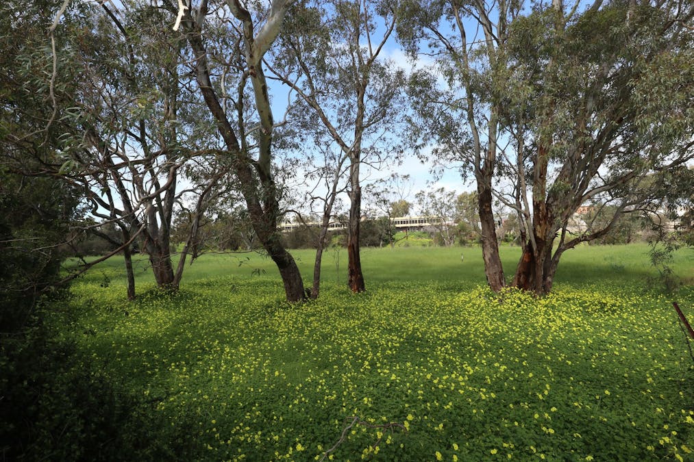 15 Esperance Street, Northam, WA, 6401 - Image 21