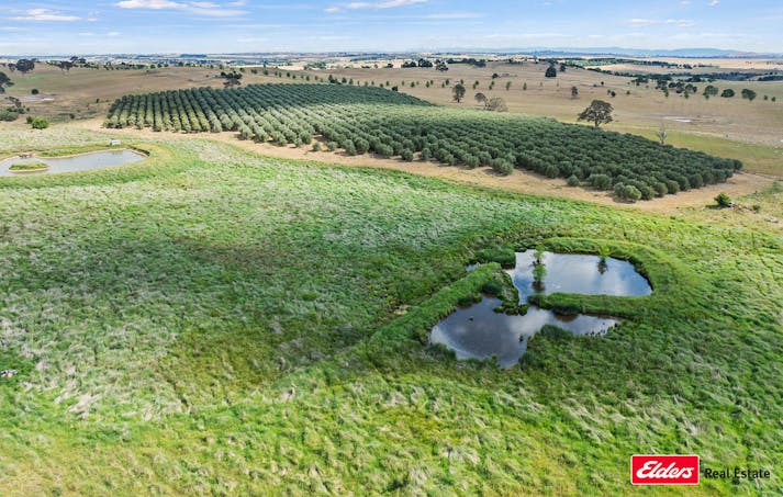 433 Hardwicke Lane, Yass, NSW, 2582 - Image 1