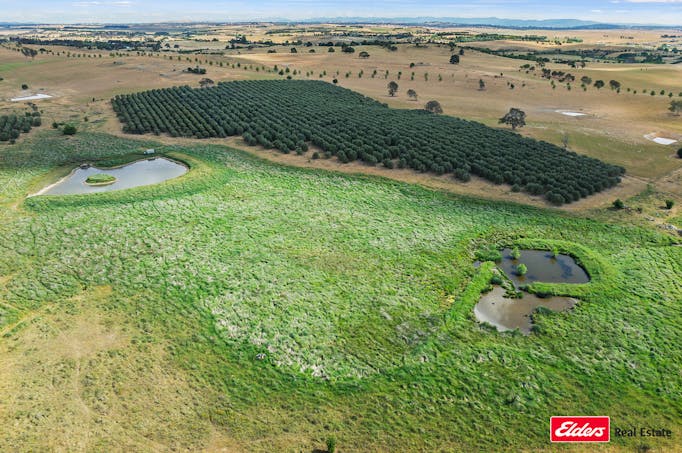 433 Hardwicke Lane, Yass, NSW, 2582 - Image 1