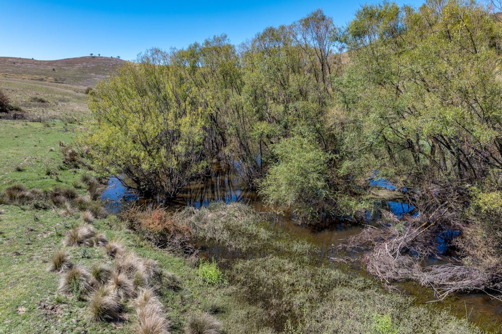 1236 Pomeroy Road, Mummel, NSW, 2580 - Image 8