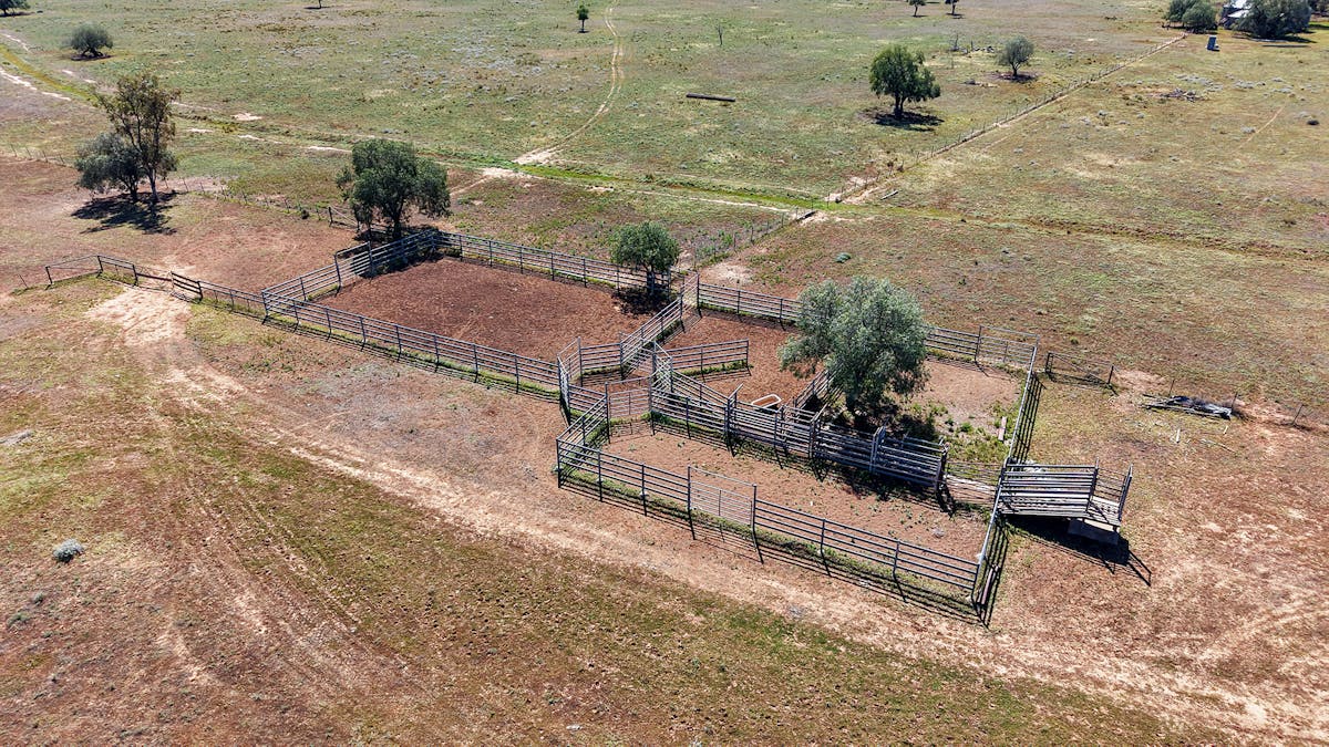Coonamble, NSW, 2829 - Image 11