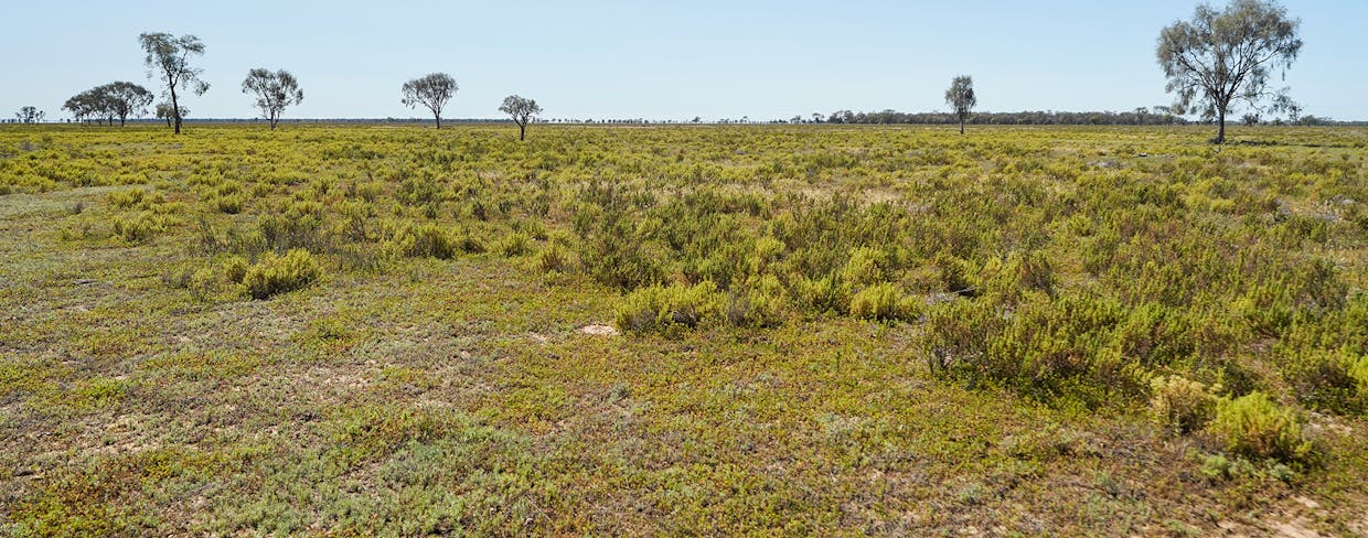 Coonamble, NSW, 2829 - Image 3