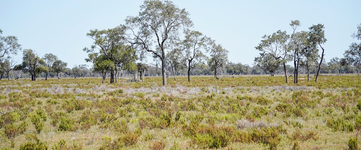 Coonamble, NSW, 2829 - Image 4