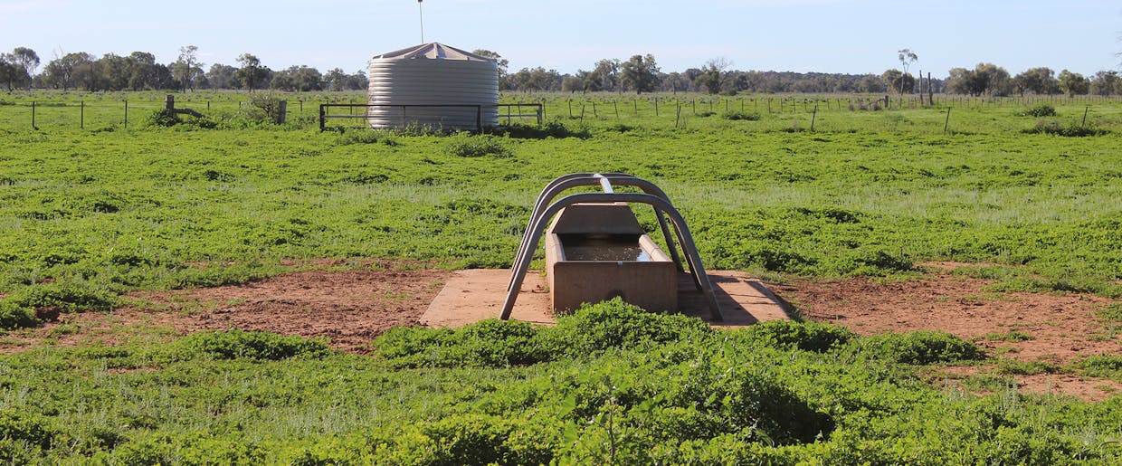 Coonamble, NSW, 2829 - Image 15
