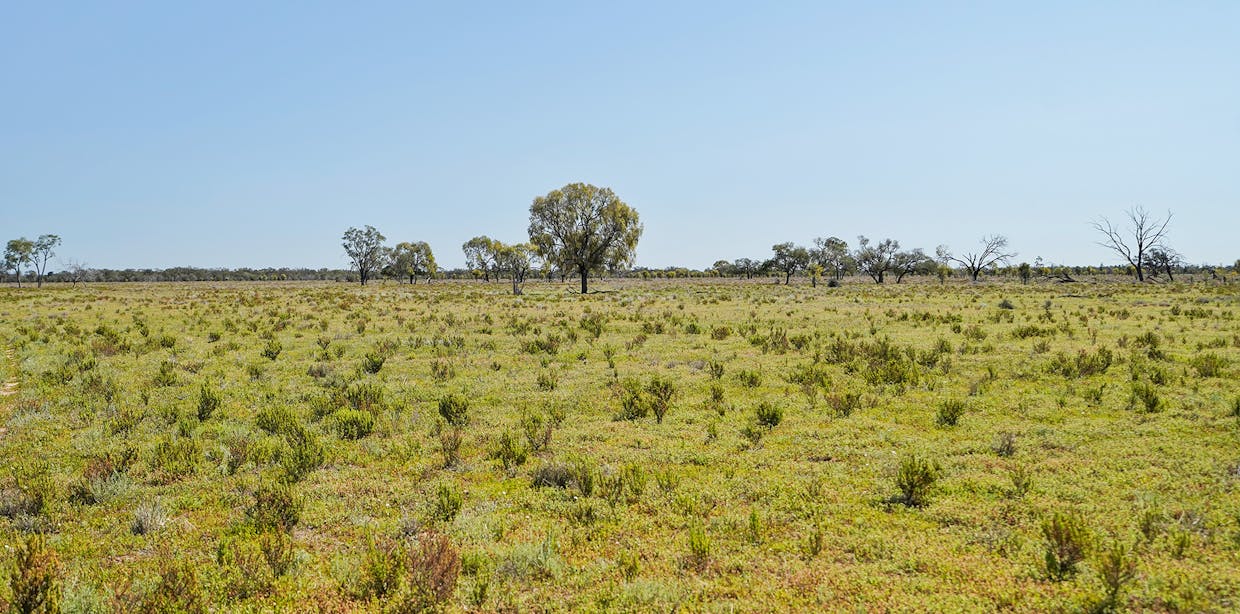 Coonamble, NSW, 2829 - Image 2