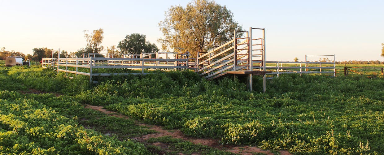 Coonamble, NSW, 2829 - Image 12