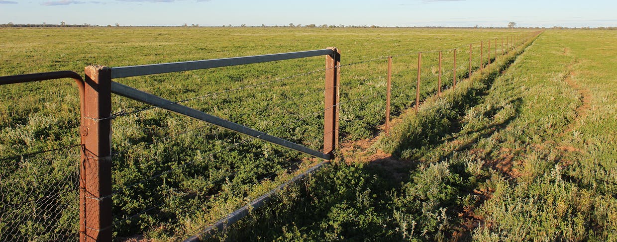 Coonamble, NSW, 2829 - Image 19