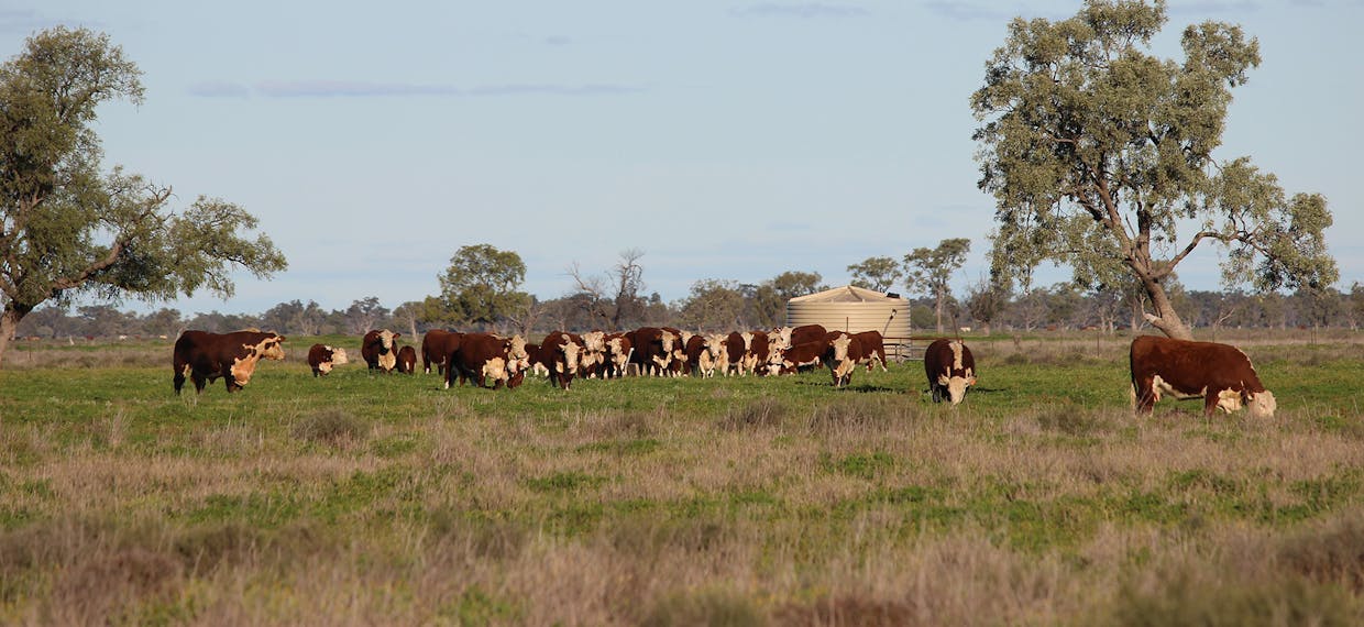 Coonamble, NSW, 2829 - Image 26