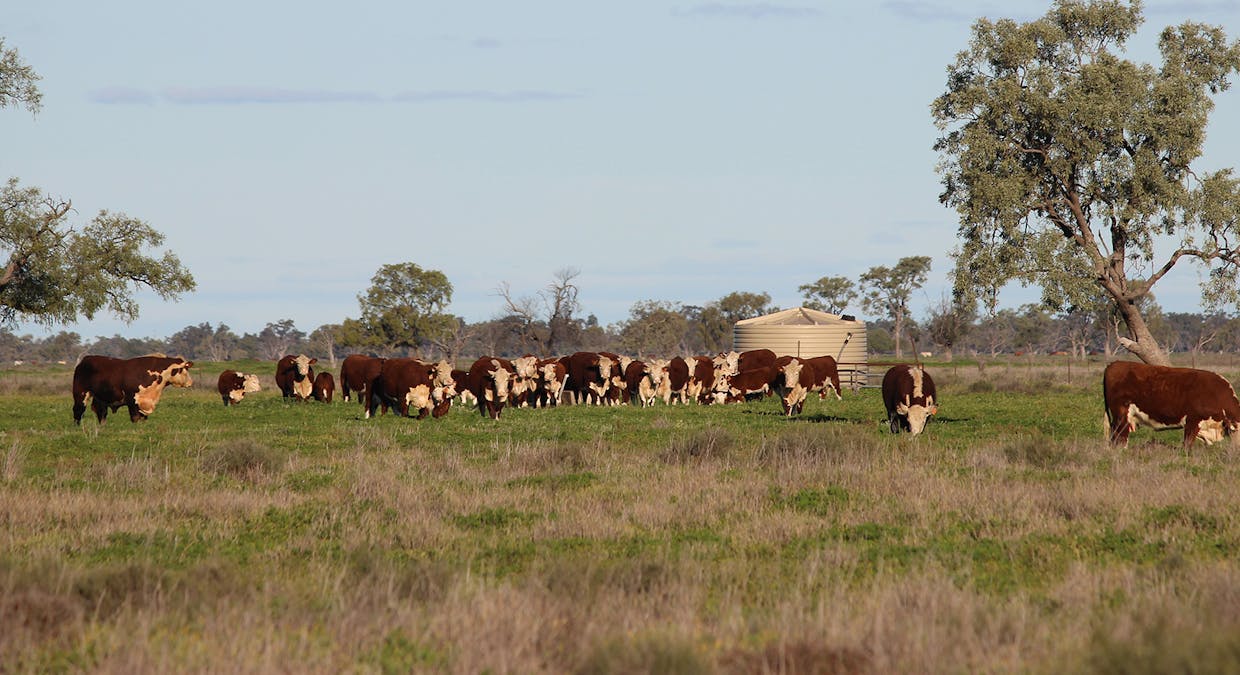 'Strathcona' 1378 Keewong Lane, Coonamble, NSW, 2829 - Image 26