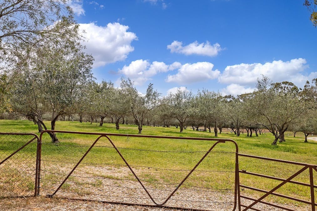 151 St Georges Terrace, Armagh, SA, 5453 - Image 35