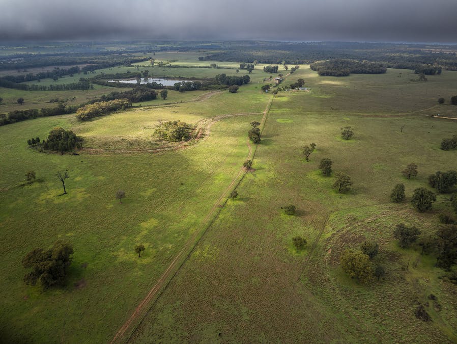 16090 Oxley Highway, Coonabarabran, NSW, 2357 - Image 4