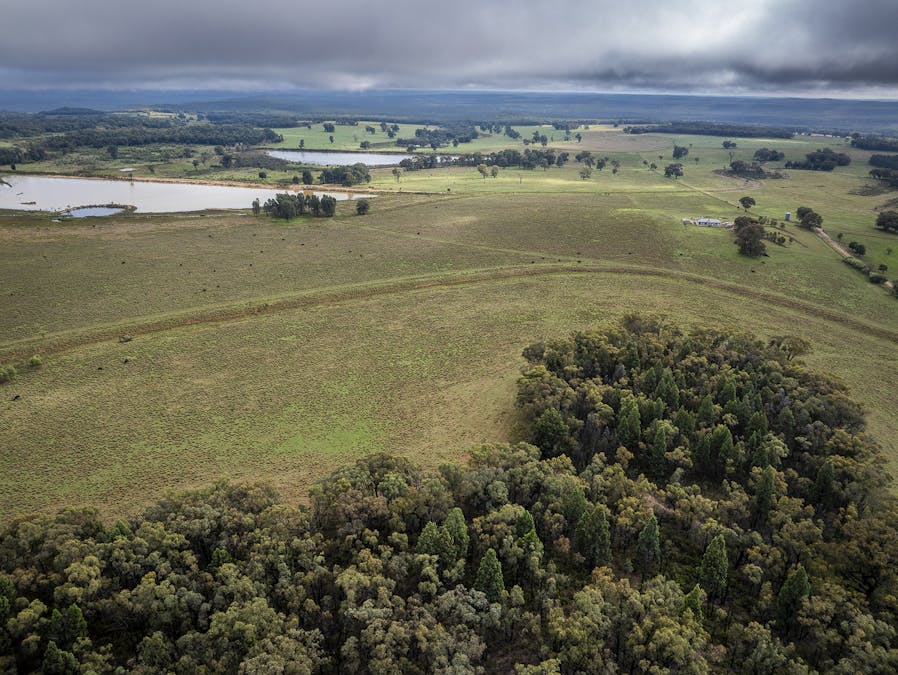 16090 Oxley Highway, Coonabarabran, NSW, 2357 - Image 7