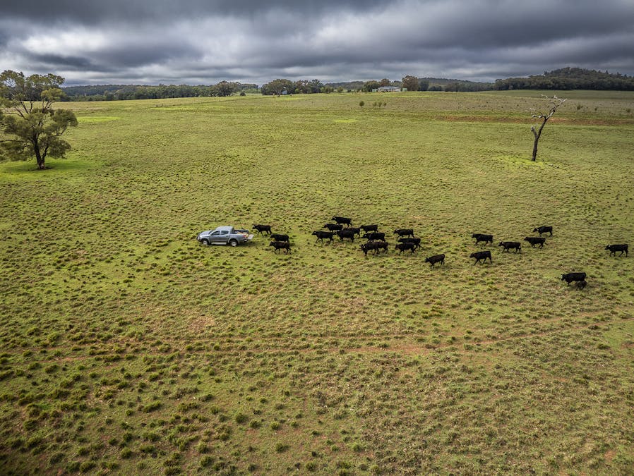 16090 Oxley Highway, Coonabarabran, NSW, 2357 - Image 17