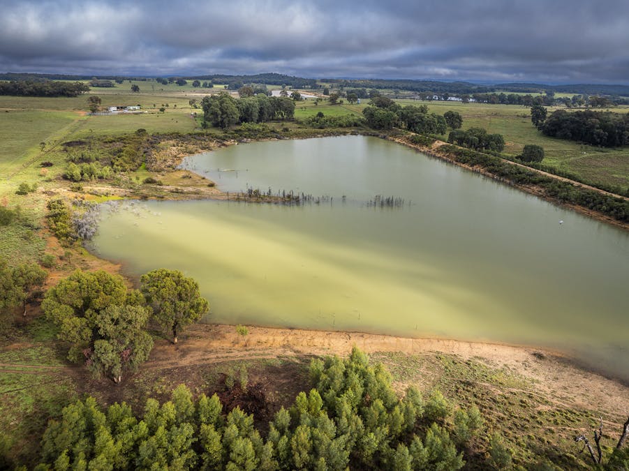 16090 Oxley Highway, Coonabarabran, NSW, 2357 - Image 10