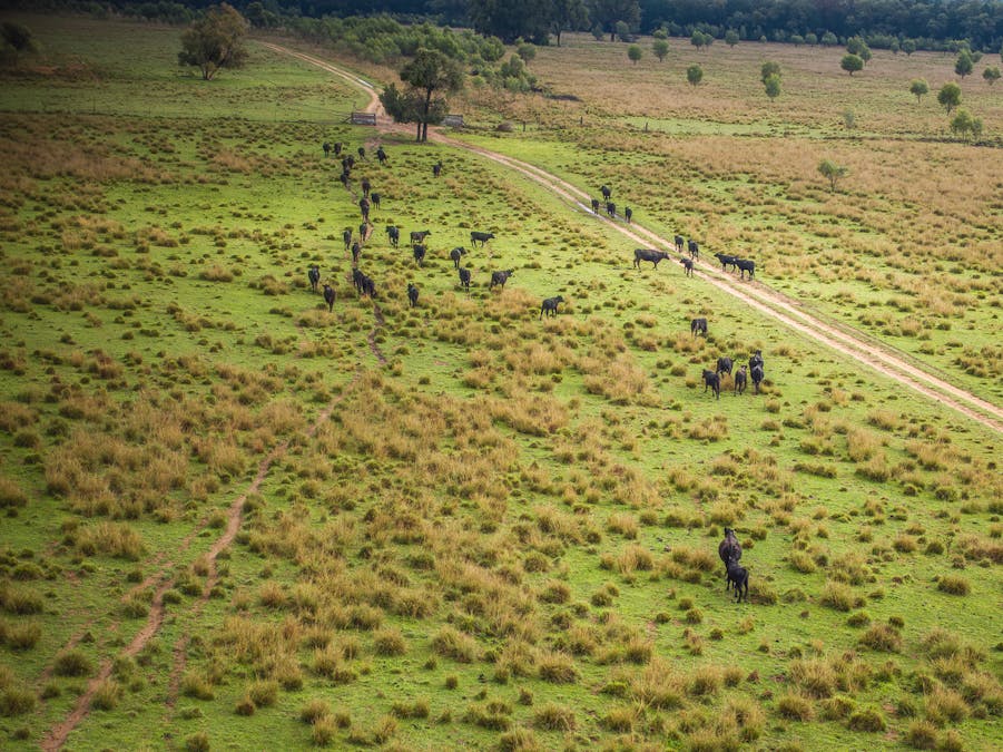 16090 Oxley Highway, Coonabarabran, NSW, 2357 - Image 16