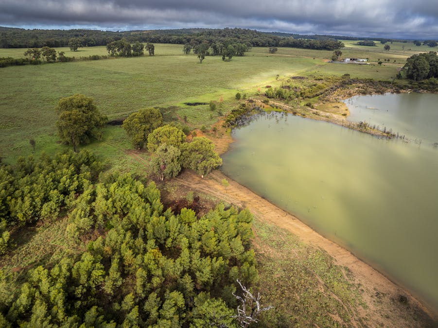 16090 Oxley Highway, Coonabarabran, NSW, 2357 - Image 9