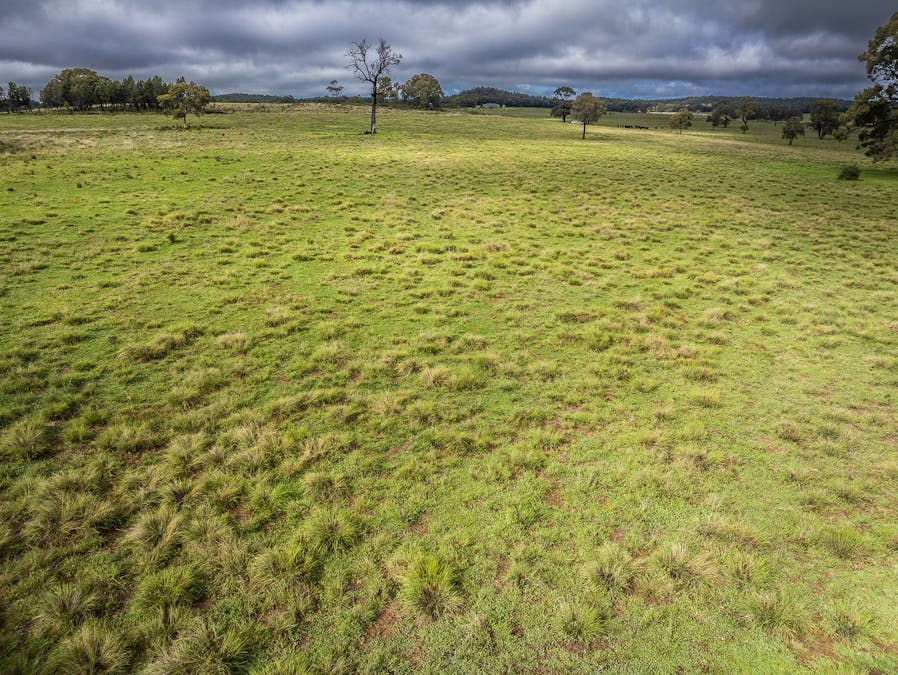 16090 Oxley Highway, Coonabarabran, NSW, 2357 - Image 15