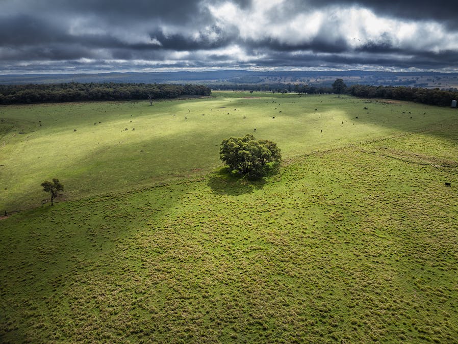 16090 Oxley Highway, Coonabarabran, NSW, 2357 - Image 12