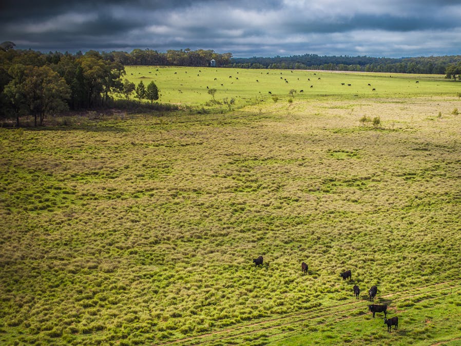 16090 Oxley Highway, Coonabarabran, NSW, 2357 - Image 13