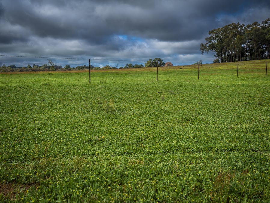 16090 Oxley Highway, Coonabarabran, NSW, 2357 - Image 34