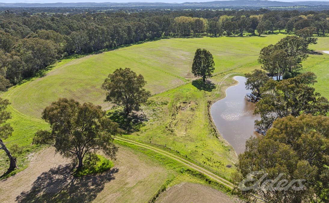251 Goodwins Lane, Milawa, VIC, 3678 - Image 28